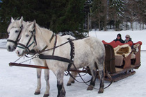 Aktivitäten Winter