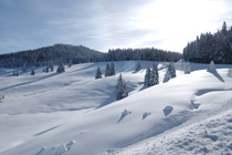 Naturpark Schwarzwald
