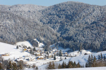 Naturpark Schwarzwald