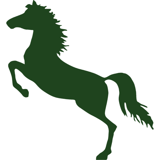 Favicon Rößle Todtmoos